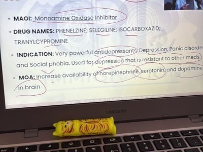 WhatsApp Image 2025-07-28 at 12.59.48 (3)